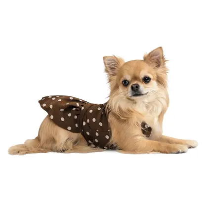 Сукня Pet Fashion «Flirt» для дівчаток, розмір M, коричнева: додаткове фото 2