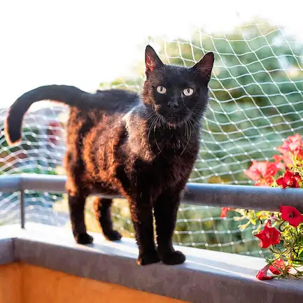 Ferplast CAT NET L Сітка для безпеки котів: додаткове фото 3