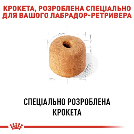 Сухий корм Royal Canin LABRADOR ADULT для дорослих собак породи Лабрадор 12 кг: додаткове фото 4