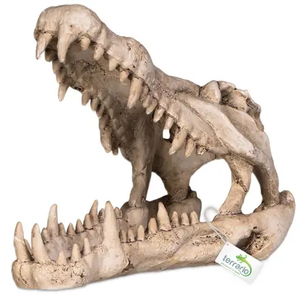 Декорація череп крокодила Terrario Crocodile Skull XL 23x11x16см (251115): додаткове фото 5
