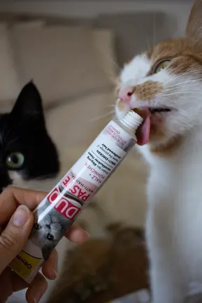 Паста для котів з чутливим травленням GimCat DUO PASTE Anti-hairball malt with chicken мальт та курка, 50 г: додаткове фото 4