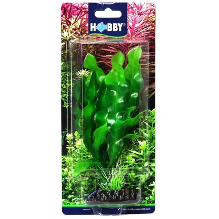 Штучна рослина Hobby Echinodrus 20см (41504): додаткове фото 2