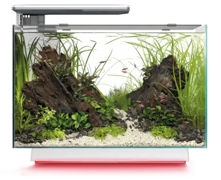 Акваріум скляний - Superfish Quadro 70 Multi Colour WHITE (A4052230)