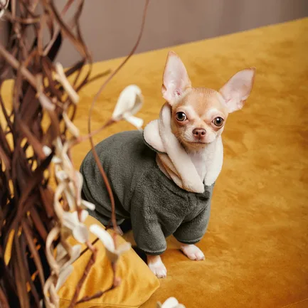 Костюм Pet Fashion «Alf» для собак, розмір M, хакі: додаткове фото 4