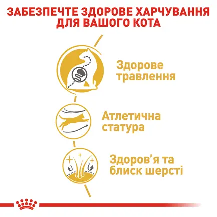 Сухий корм Royal Canin BENGAL ADULT для котів породи Бенгал 2 кг: додаткове фото 4
