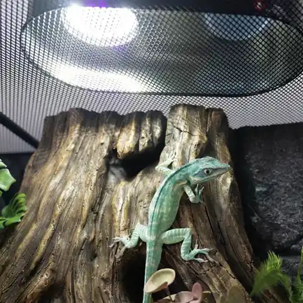 Лампа LED Repti-Zoo Desert and Tropical UVB 5.0 UVB 10.0 5W для тераріумів (LEDU04): додаткове фото 4