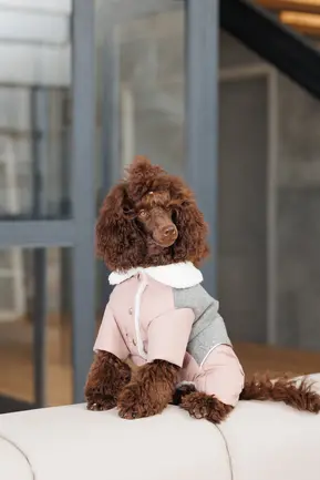 Костюм дівчинка Pet Fashion Twiddy S для собак: додаткове фото 6