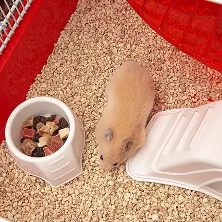 Ferplast CAGE CONEY ISLAND WHITE (x1) Клітка для хом'яків: додаткове фото 5