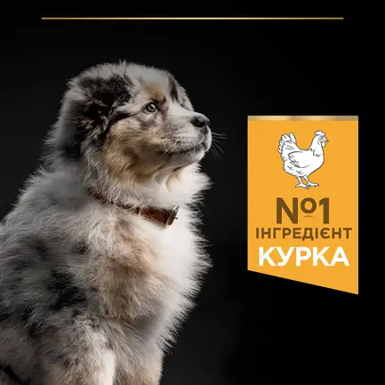 Сухий корм PRO PLAN Medium Adult 1+ Sensitive Digestion для дорослих собак середніх порід з чутливим травленням з ягням 18 кг: додаткове фото 5