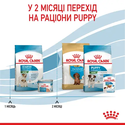 Сухий корм Royal Canin MINI STARTER для дорослих собак малих порід 8 кг: додаткове фото 7