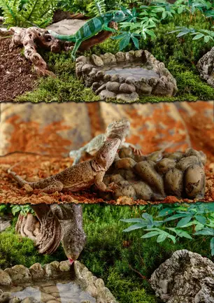 Поїлка Exo Terra для рептилій кутова, середня, 100 мл: додаткове фото 2