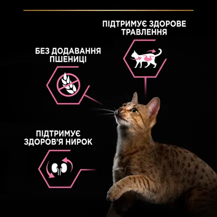Сухий корм PRO PLAN Adult 1+ Delicate Digestion для дорослих котів з чутливою травною системою з індичкою 1,5 кг: додаткове фото 6