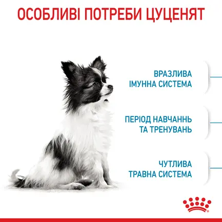 Сухий корм Royal Canin XSMALL PUPPY для цуценят мініатюрних порід 0,5 кг: додаткове фото 5