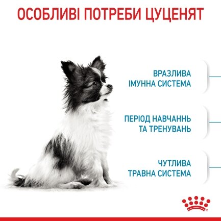 Сухий корм Royal Canin XSMALL PUPPY для цуценят мініатюрних порід 3 кг — Фото 3