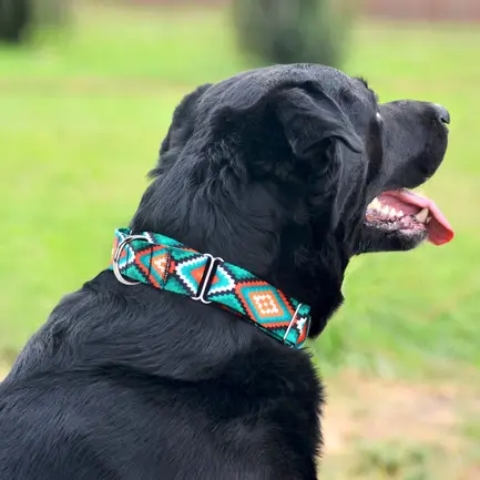 Нашийник для Собак Мартінґейл BronzeDog Urban Нейлоновий з Металевою Фурнітурою Ромби S: додаткове фото 6