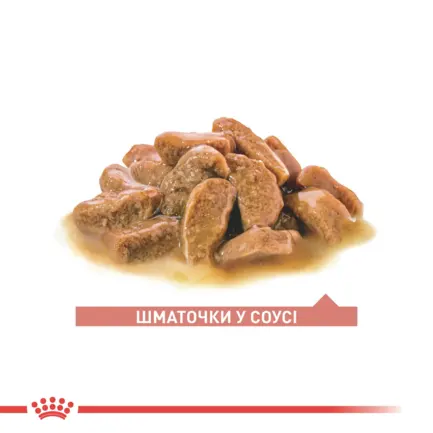 Вологий корм для літніх котів ROYAL CANIN AGEING 11+(від 11 років) 85 г: додаткове фото 2