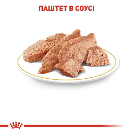 Вологий корм Royal Canin CHIHUAHUA ADULT для дорослих собак породи Чихуахуа 85 г: додаткове фото 4