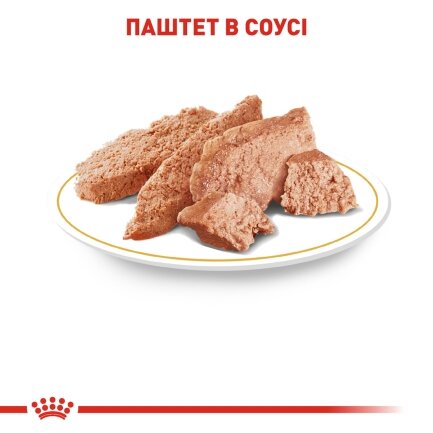 Вологий корм Royal Canin CHIHUAHUA ADULT для дорослих собак породи Чихуахуа 85 г — Фото 2