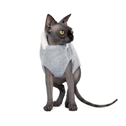 Светр Pet Fashion «Cat» для кота, розмір M, меланж: додаткове фото 2