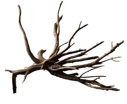 Павутинне дерево BLACK SPIDER WOOD MEDIUM (A4080385)