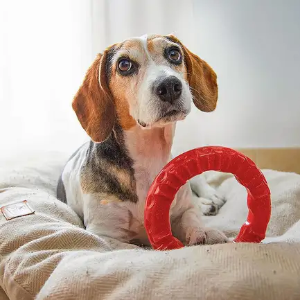 Ferplast SMILE M RED DOG RING: додаткове фото 2