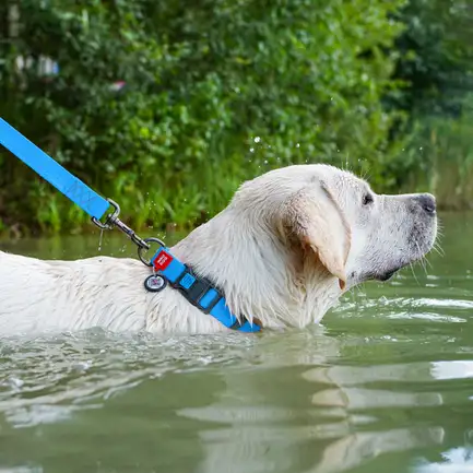 Нашийник для собак водостійкий WAUDOG Waterproof c QR паспортом, пластикова пряжка-фастекс, Ш 25 мм, Дов 38-58 см, блакитний: додаткове фото 2