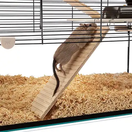 Ferplast CAGE KARAT 80 Клітка з склян піддоном для мишей та хом'яків: додаткове фото 6