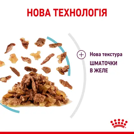 Вологий корм Royal Canin SENSORY FEEL JELLY для котів всіх порід 85 г: додаткове фото 4