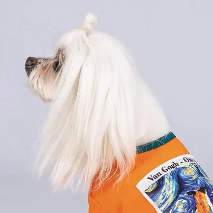 Футболка Pet Fashion «Art» для собак, розмір S, помаранчева: додаткове фото 5
