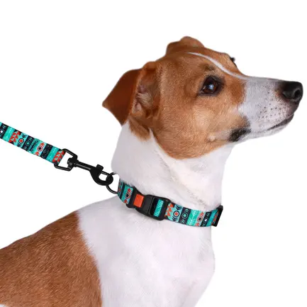 Нашийник для Собак BronzeDog Urban Нейлоновий з Пластиковою Пряжкою Інки S: додаткове фото 7
