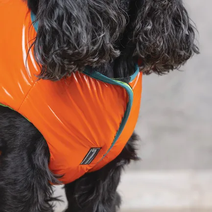Жилет Pet Fashion «Spring» для собак, розмір XS2, помаранчевий: додаткове фото 4
