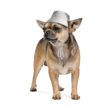 Шапка Pet Fashion «Party» для собак, розмір M, сіра (зима): додаткове фото 2