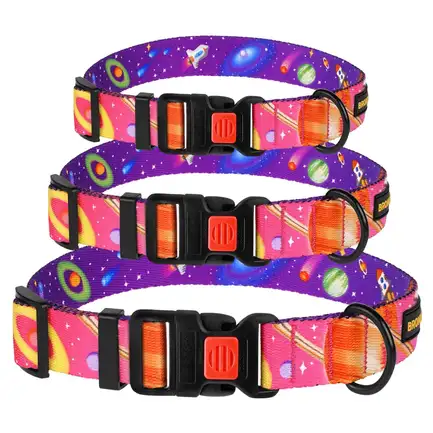 Нашийник для собак BronzeDog Urban Cosmos нейлоновий з пластиковою пряжкою Рожевий L: додаткове фото 5