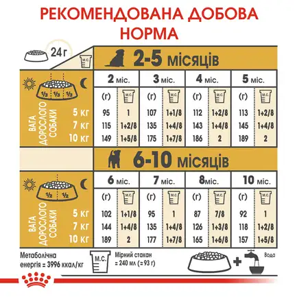 Сухий корм Royal Canin JACK RUSSEL PUPPY для цуценят породи Джек Расел Тер`єр 1,5 кг: додаткове фото 6