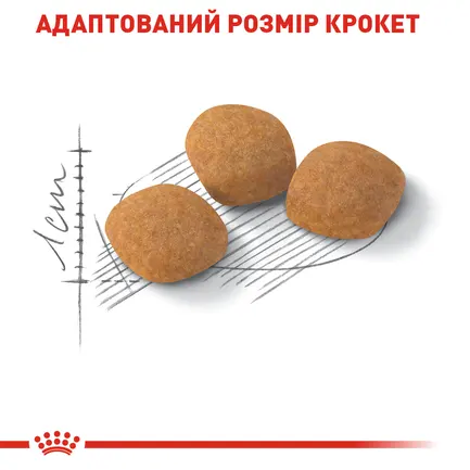 Сухий корм Royal Canin EXIGENT PROTEIN для котів всіх порід 2 кг: додаткове фото 6