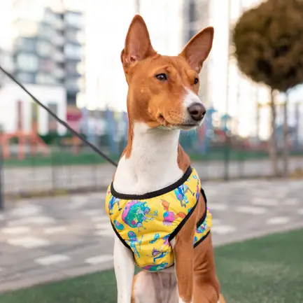 Шлея для собак м'яка WAUDOG Clothes з QR-паспортом, малюнок "Рік та Морті 3", S2 B 46-50 см, C 43-45 см: додаткове фото 6