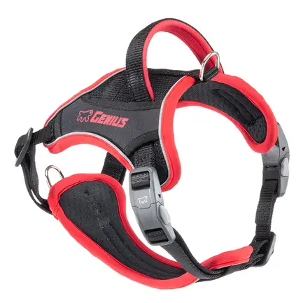 Ferplast GENIUS SMALL RED HARNESS нейлонова шлея для тварин червона: додаткове фото 4