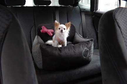 Chloe's Home Автокрісло для собак Paris чорне: додаткове фото 2