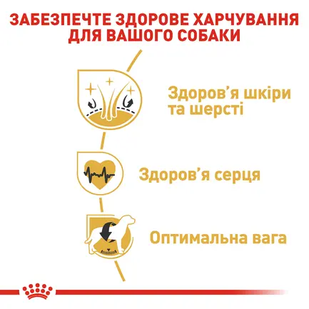 Сухий корм Royal Canin GOLDEN RETRIEVER ADULT для дорослих собак породи Золотистий ретрівер 12 кг: додаткове фото 5