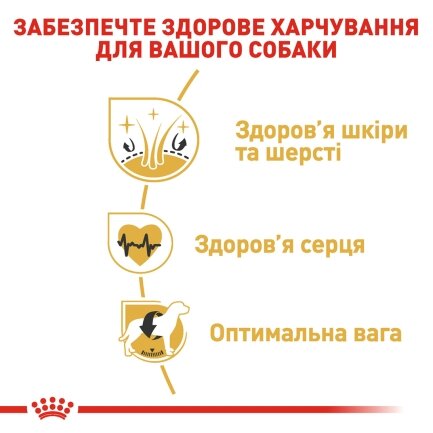 Сухий корм Royal Canin GOLDEN RETRIEVER ADULT для дорослих собак породи Золотистий ретрівер 12 кг — Фото 3