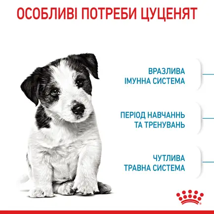 Сухий корм Royal Canin MINI PUPPY для цуценят малих порід 2 кг: додаткове фото 4