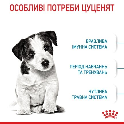 Сухий корм Royal Canin MINI PUPPY для цуценят малих порід 0,8 кг + WET MINI PUPPY 85 г — Фото 3