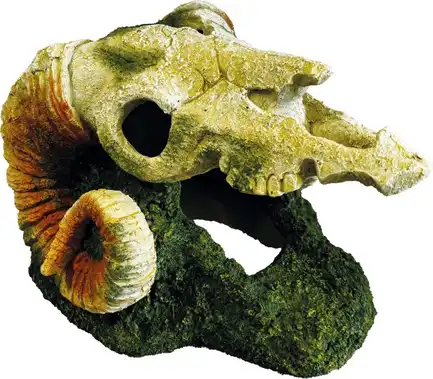 Декорація REPTO DECO GOAT SKULL (R5100395)