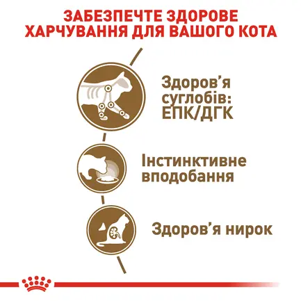 Вологий корм Royal Canin AGEING+12 для котів всіх порід 85 г: додаткове фото 4