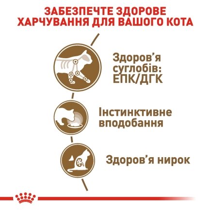 Вологий корм Royal Canin AGEING+12 для котів всіх порід 85 г — Фото 2