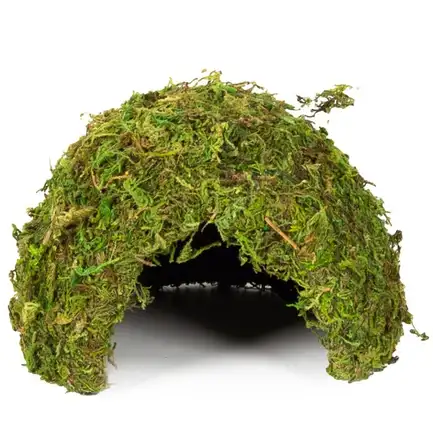 Схованка з моху Repti-Zoo Natural Mossy Dome M 14x10,5 (ERS25M): додаткове фото 3