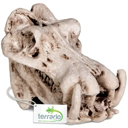 Декорація череп бегемота Terrario Hippo Skull 5x3x3см (533): додаткове фото 4