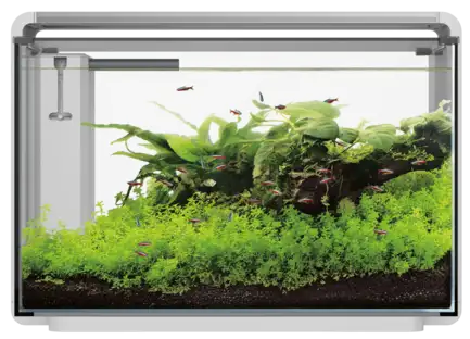 Акваріумний набір SuperFish Home ProLED 65 White (A4051630)