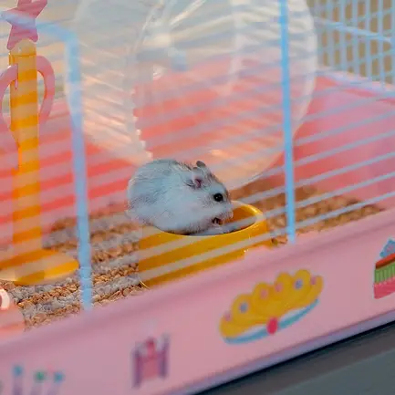 Ferplast CAGE CRICETI 9 PRINCESS WH(x1) Клітка для хом'яків з декором: додаткове фото 6
