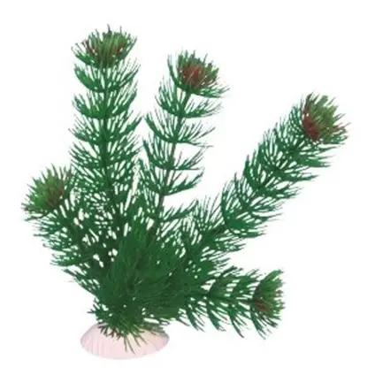 AquatiC Plants (Акватик Плентс) Акваріумна рослина 30cм, AP -005 - 12